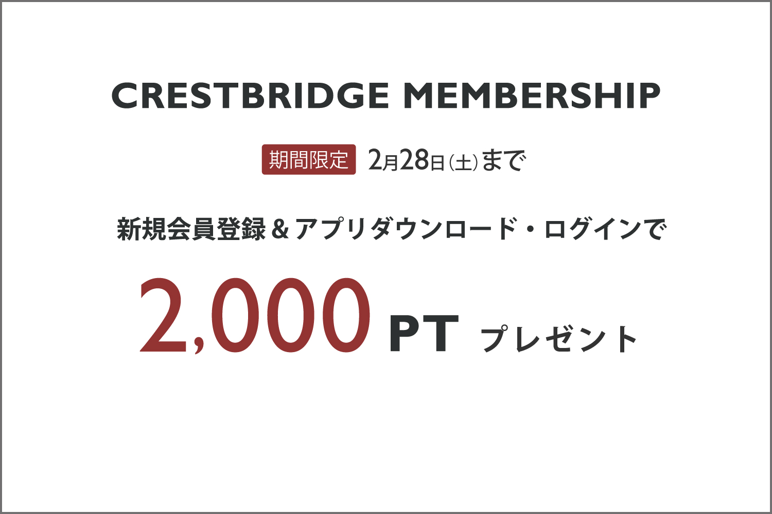 新規会員登録で今すぐ使えるポイントプレゼント