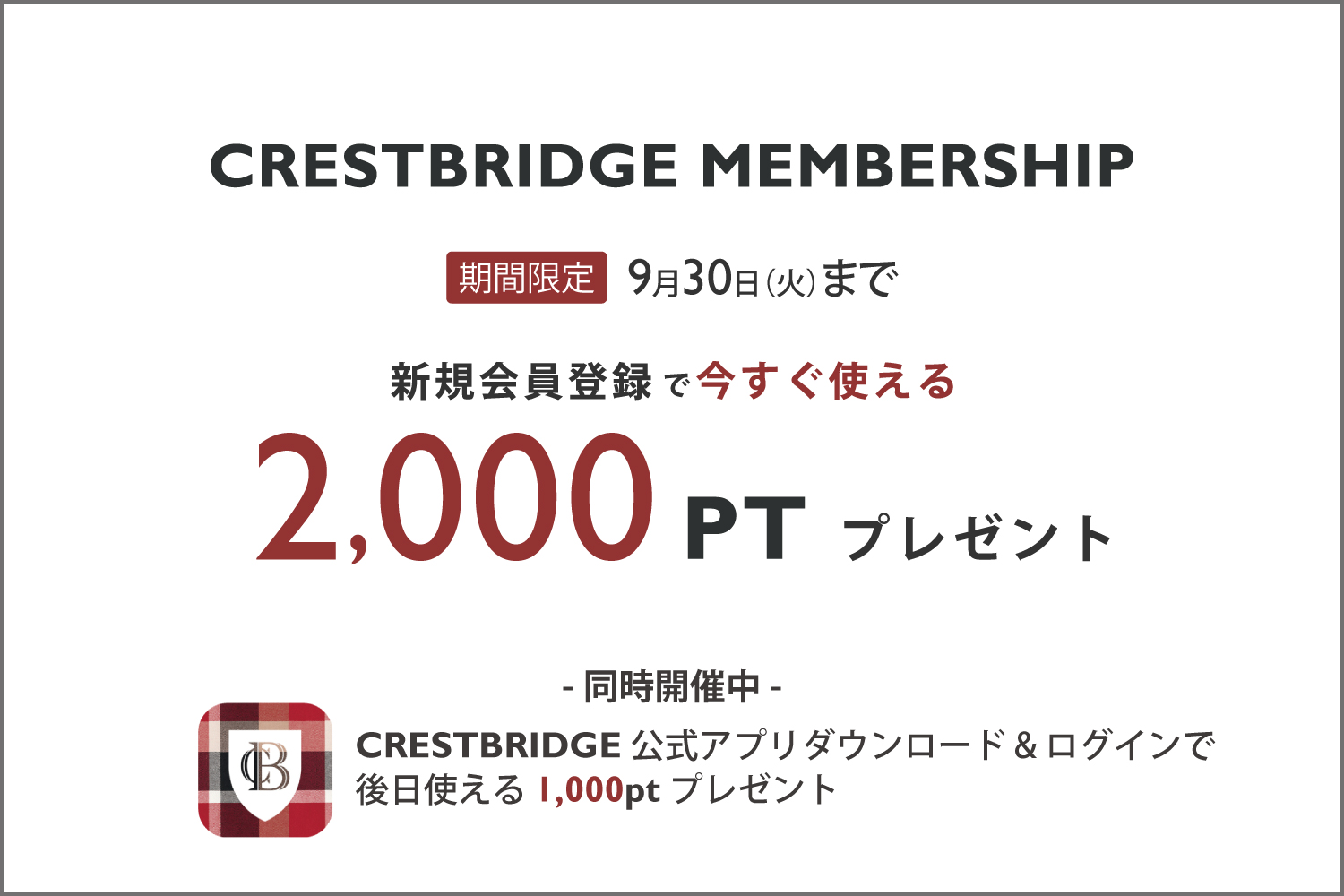 新規会員登録で今すぐ使える2,000ptプレゼント