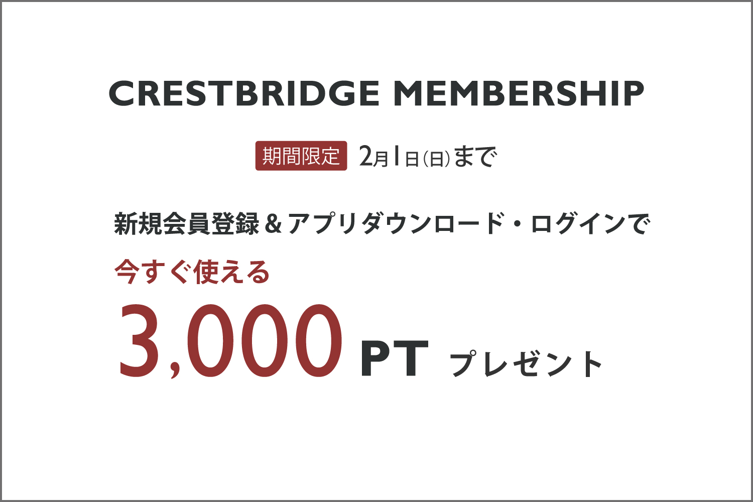 新規会員登録で今すぐ使えるポイントプレゼント